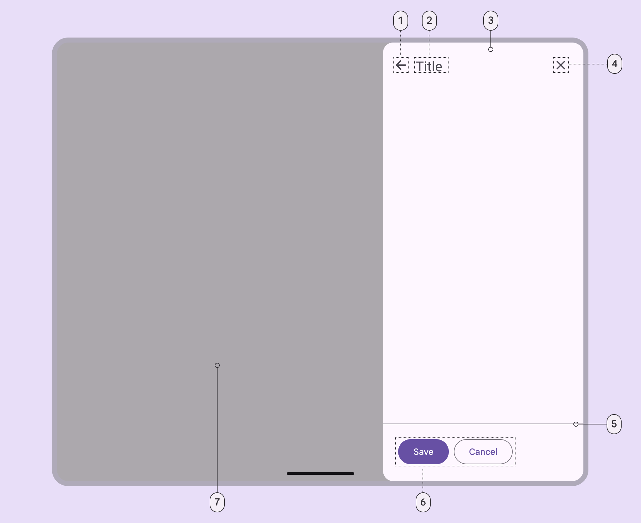 modal sheet anatomy
